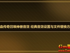 ��Ѫ�����ٻ�������Ч ������Ч�������ļ��滻����