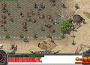 [Gm�汾��]2026��1�½��۸�����ְҵ��������|����ɽׯ|��Ұ����|Gom����
