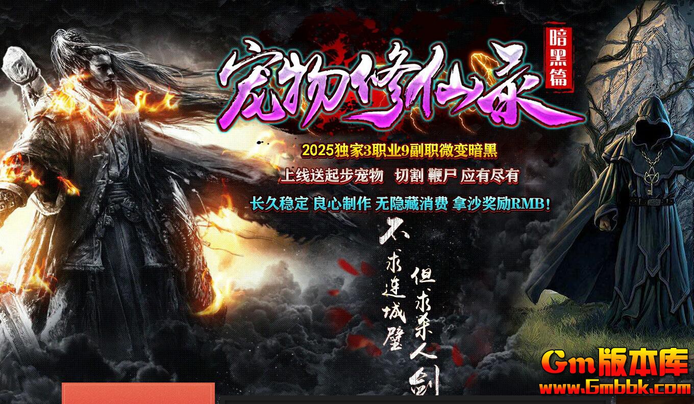 ����������ְҵ��������